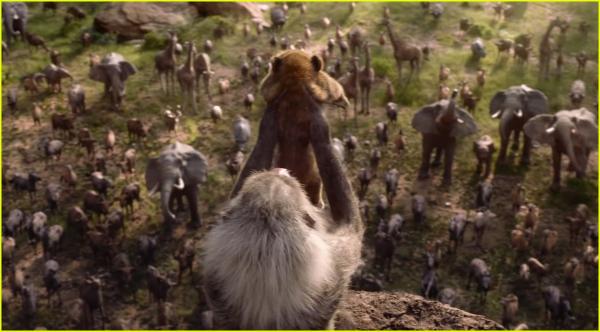 19 chi tiết thú vị trong quá trình tạo nên live-action 'The Lion King' 19 chi tiết thú vị trong quá trình tạo nên live-action 'The Lion King'