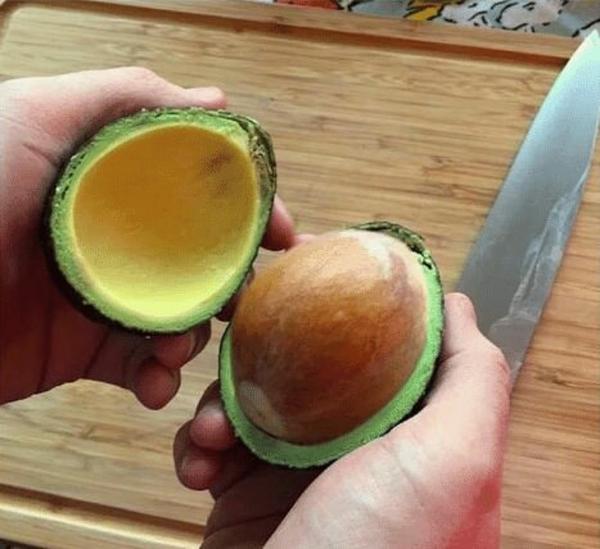 Những bức hình khiến bạn phải thốt lên: 'Thiên nhiên quả thật thật kì diệu' Những bức hình khiến bạn phải thốt lên: 'Thiên nhiên quả thật thật kì diệu'