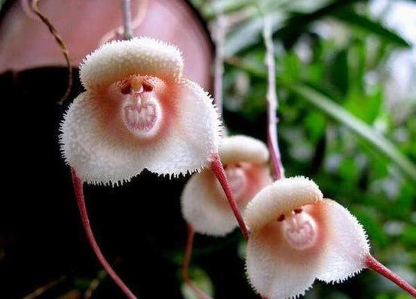 Những bức hình khiến bạn phải thốt lên: 'Thiên nhiên quả thật thật kì diệu' Những bức hình khiến bạn phải thốt lên: 'Thiên nhiên quả thật thật kì diệu'