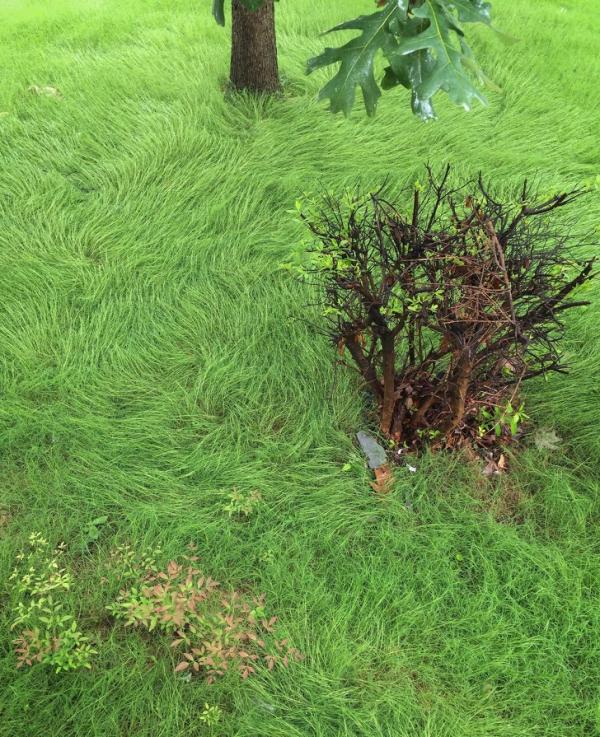 Những bức hình khiến bạn phải thốt lên: 'Thiên nhiên quả thật thật kì diệu' Những bức hình khiến bạn phải thốt lên: 'Thiên nhiên quả thật thật kì diệu'