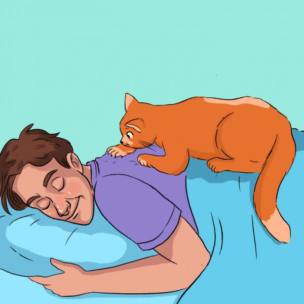 Mèo không biết nói, nhưng có 13 cách để chúng thể hiện tình yêu với chủ Mèo không biết nói, nhưng có 13 cách để chúng thể hiện tình yêu với chủ