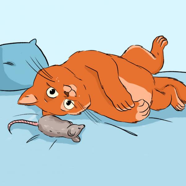 Mèo không biết nói, nhưng có 13 cách để chúng thể hiện tình yêu với chủ Mèo không biết nói, nhưng có 13 cách để chúng thể hiện tình yêu với chủ