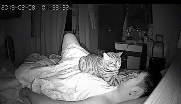 Nhờ camera ban đêm, con sen bất ngờ phát hiện ra 'hoàng thượng' đã tìm mọi cách thủ tiêu mình Nhờ camera ban đêm, con sen bất ngờ phát hiện ra 'hoàng thượng' đã tìm mọi cách thủ tiêu mình