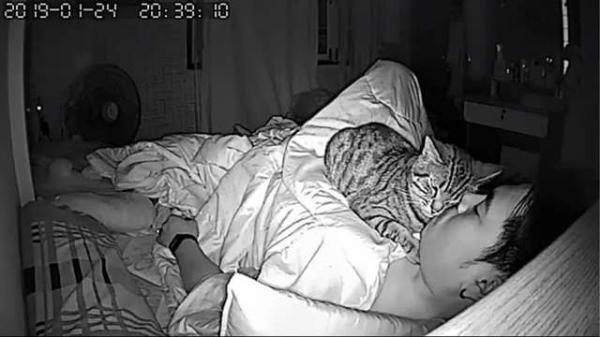 Nhờ camera ban đêm, con sen bất ngờ phát hiện ra 'hoàng thượng' đã tìm mọi cách thủ tiêu mình Nhờ camera ban đêm, con sen bất ngờ phát hiện ra 'hoàng thượng' đã tìm mọi cách thủ tiêu mình