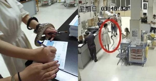 Bị rắn cắn bất ngờ, cô gái liều mạng bắt luôn 'hung thủ' mang đến bệnh viện Bị rắn cắn bất ngờ, cô gái liều mạng bắt luôn 'hung thủ' mang đến bệnh viện