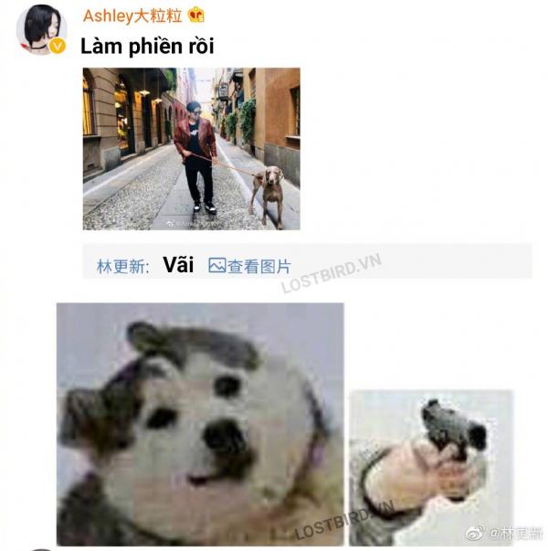 Lâm Canh Tân nhờ dân mạng ghép ảnh mình với Châu Kiệt Luân và nhận về bộ ảnh cười 'muốn nội thương' Lâm Canh Tân nhờ dân mạng ghép ảnh mình với Châu Kiệt Luân và nhận về bộ ảnh cười 'muốn nội thương'