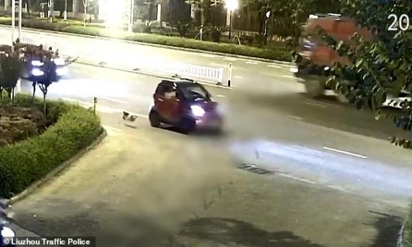 Chú chó bị kéo lê trên đường vì hết chỗ cho nó trong xe chủ nhân Chú chó bị kéo lê trên đường vì hết chỗ cho nó trong xe chủ nhân