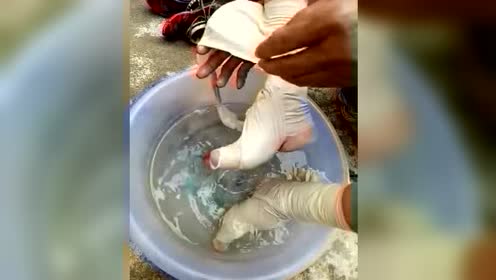 Những hủ tục rùng rợn nhất vẫn đang lưu truyền ở Trung Quốc: Từ âm hôn cho tới nuôi cổ trùng Những hủ tục rùng rợn nhất vẫn đang lưu truyền ở Trung Quốc: Từ âm hôn cho tới nuôi cổ trùng