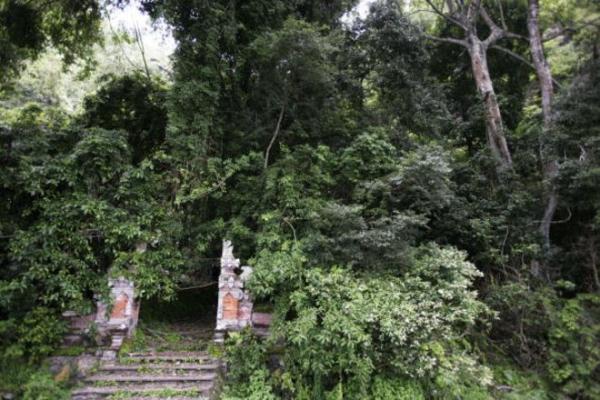 Những hủ tục rùng rợn nhất vẫn đang lưu truyền ở Trung Quốc: Từ âm hôn cho tới nuôi cổ trùng Những hủ tục rùng rợn nhất vẫn đang lưu truyền ở Trung Quốc: Từ âm hôn cho tới nuôi cổ trùng