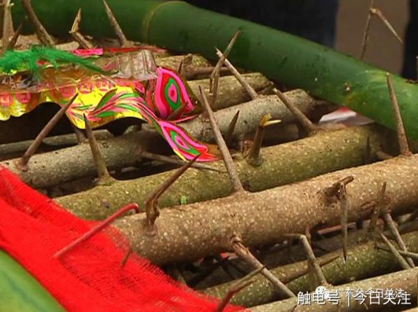 Những hủ tục rùng rợn nhất vẫn đang lưu truyền ở Trung Quốc: Từ âm hôn cho tới nuôi cổ trùng Những hủ tục rùng rợn nhất vẫn đang lưu truyền ở Trung Quốc: Từ âm hôn cho tới nuôi cổ trùng