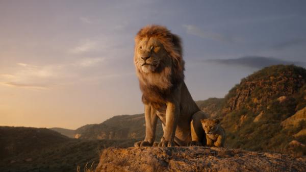 14 sự thật có thể bạn chưa biết về bộ phim 'The Lion King' 14 sự thật có thể bạn chưa biết về bộ phim 'The Lion King'