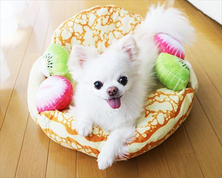 'Hoàng thượng' xứng đáng với chiếc giường trứng ốp đáng yêu như thế này 'Hoàng thượng' xứng đáng với chiếc giường trứng ốp đáng yêu như thế này