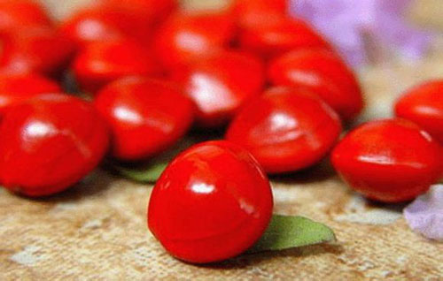 Một hạt đậu đỏ lại chất chứa nỗi tương tư của bao kiếp tình nhân Một hạt đậu đỏ lại chất chứa nỗi tương tư của bao kiếp tình nhân