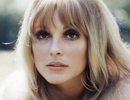 Vụ án Sharon Tate: Mùa hè đẫm máu từng gây kinh hoàng cả Hollywood cách đây nửa thế kỉ Vụ án Sharon Tate: Mùa hè đẫm máu từng gây kinh hoàng cả Hollywood cách đây nửa thế kỉ