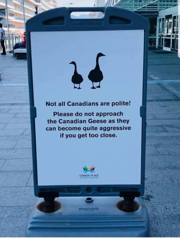 Những hình ảnh bạn chỉ có thể nhìn thấy ở 'hành tinh Canada' Những hình ảnh bạn chỉ có thể nhìn thấy ở 'hành tinh Canada'