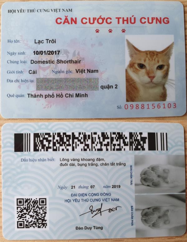 Đàn mèo tên Lạc với vẻ ngoài y chang nhau khiến cư dân mạng thảng thốt vì độ dễ thương Đàn mèo tên Lạc với vẻ ngoài y chang nhau khiến cư dân mạng thảng thốt vì độ dễ thương