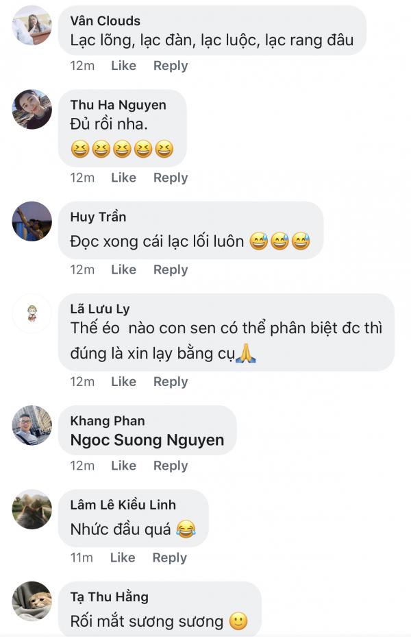 Đàn mèo tên Lạc với vẻ ngoài y chang nhau khiến cư dân mạng thảng thốt vì độ dễ thương Đàn mèo tên Lạc với vẻ ngoài y chang nhau khiến cư dân mạng thảng thốt vì độ dễ thương
