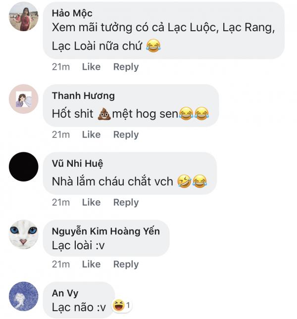 Đàn mèo tên Lạc với vẻ ngoài y chang nhau khiến cư dân mạng thảng thốt vì độ dễ thương Đàn mèo tên Lạc với vẻ ngoài y chang nhau khiến cư dân mạng thảng thốt vì độ dễ thương