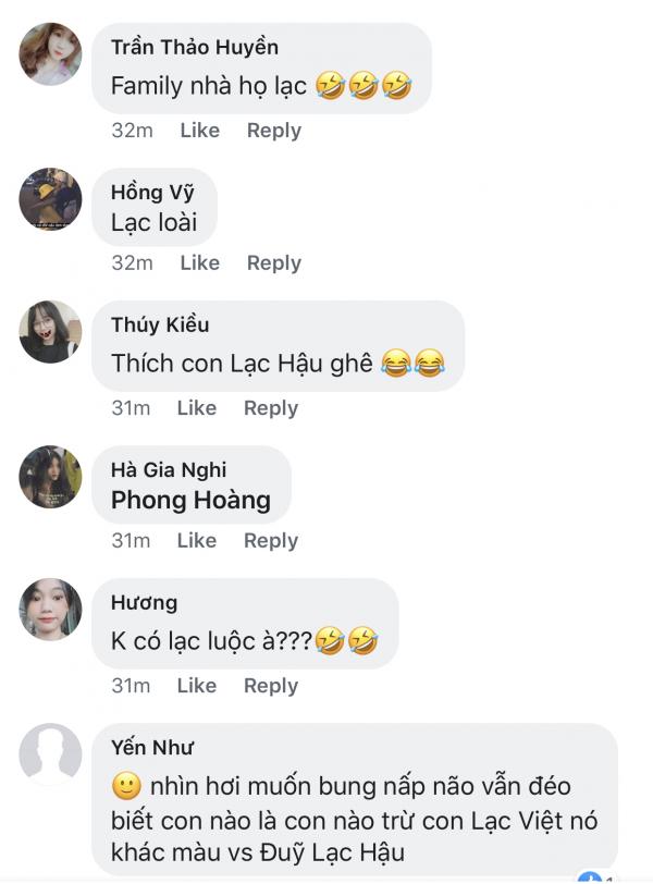 Đàn mèo tên Lạc với vẻ ngoài y chang nhau khiến cư dân mạng thảng thốt vì độ dễ thương Đàn mèo tên Lạc với vẻ ngoài y chang nhau khiến cư dân mạng thảng thốt vì độ dễ thương