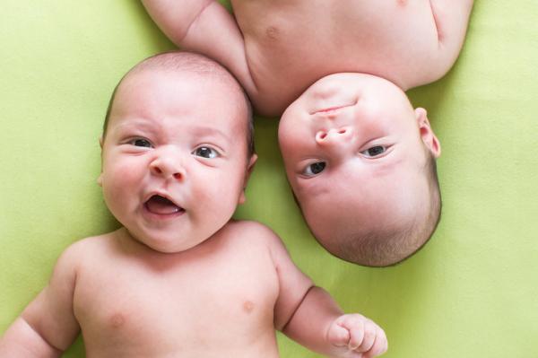 Nâng cao kĩ năng nhảm nhí với những sự thật biết cũng được không biết cũng không sao Nâng cao kĩ năng nhảm nhí với những sự thật biết cũng được không biết cũng không sao