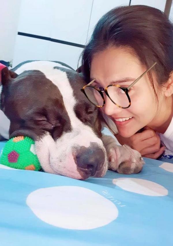 Chú chó ham ăn phải nhập viện phẫu thuật vì nuốt trọn... 32 con vịt cao su Chú chó ham ăn phải nhập viện phẫu thuật vì nuốt trọn... 32 con vịt cao su