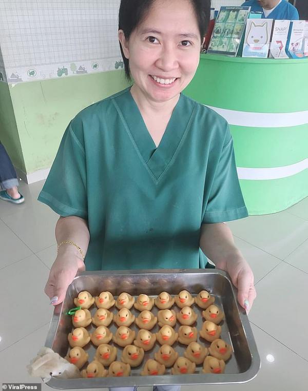 Chú chó ham ăn phải nhập viện phẫu thuật vì nuốt trọn... 32 con vịt cao su Chú chó ham ăn phải nhập viện phẫu thuật vì nuốt trọn... 32 con vịt cao su