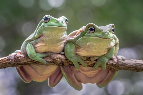 Tình yêu là gì? Và đây là câu trả lời của các nhiếp ảnh gia trên khắp thế giới Tình yêu là gì? Và đây là câu trả lời của các nhiếp ảnh gia trên khắp thế giới
