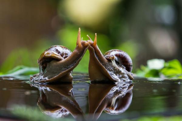 Tình yêu là gì? Và đây là câu trả lời của các nhiếp ảnh gia trên khắp thế giới Tình yêu là gì? Và đây là câu trả lời của các nhiếp ảnh gia trên khắp thế giới