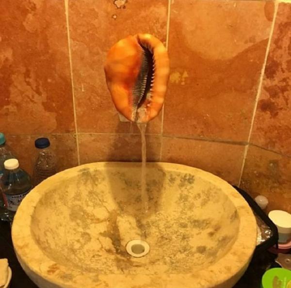 Cuộc sống vốn đã khó khăn rồi mà mỗi cái chuyện đi tắm thôi cũng làm khó nhau nữa Cuộc sống vốn đã khó khăn rồi mà mỗi cái chuyện đi tắm thôi cũng làm khó nhau nữa