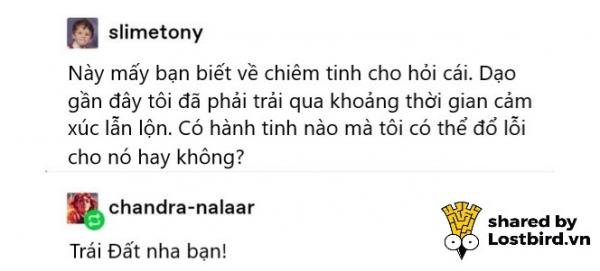 16 bài đăng về chiêm tinh và các cung hoàng đạo nghe phản khoa học nhưng lại hài quá thể 16 bài đăng về chiêm tinh và các cung hoàng đạo nghe phản khoa học nhưng lại hài quá thể