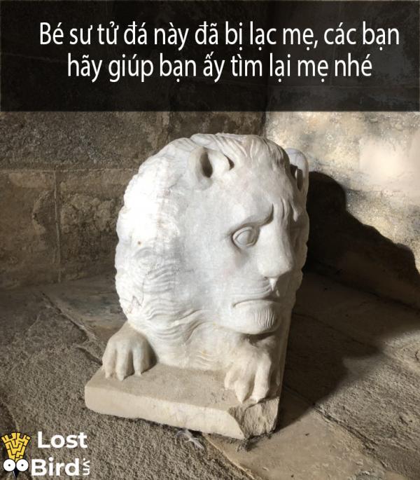 Tuyển tập meme sư tử Trung cổ hài hước khiến bạn phải ngay lập tức lưu về máy Tuyển tập meme sư tử Trung cổ hài hước khiến bạn phải ngay lập tức lưu về máy