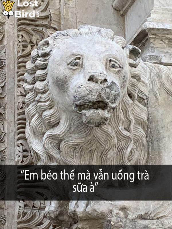 Tuyển tập meme sư tử Trung cổ hài hước khiến bạn phải ngay lập tức lưu về máy Tuyển tập meme sư tử Trung cổ hài hước khiến bạn phải ngay lập tức lưu về máy