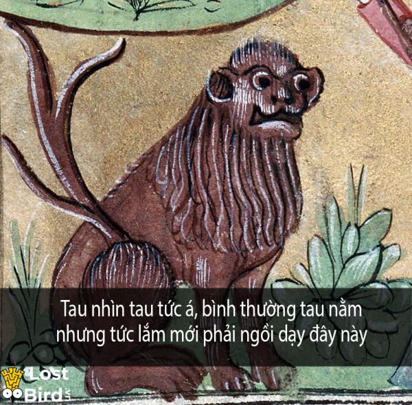 Tuyển tập meme sư tử Trung cổ hài hước khiến bạn phải ngay lập tức lưu về máy Tuyển tập meme sư tử Trung cổ hài hước khiến bạn phải ngay lập tức lưu về máy