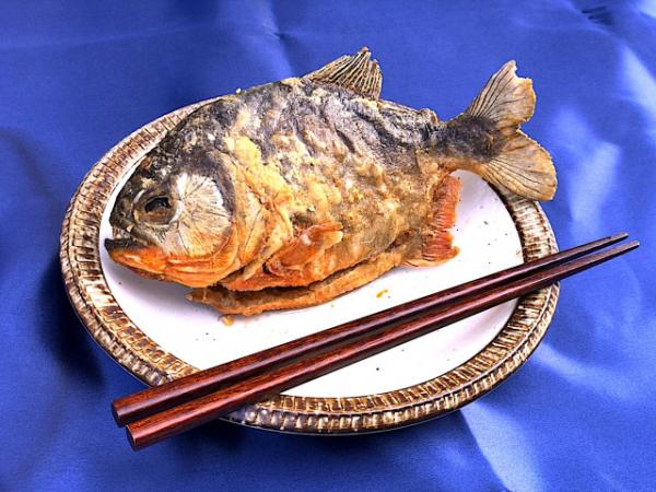 Mỳ cá Piranha: Sự kết hợp ẩm thực nhìn thôi đã thấy đáng sợ Mỳ cá Piranha: Sự kết hợp ẩm thực nhìn thôi đã thấy đáng sợ