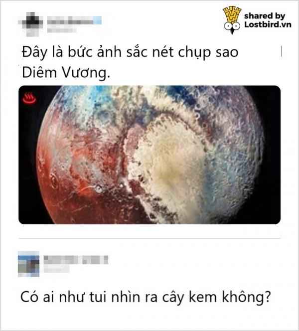 20 lời bình luận thiên tài khiến bạn một phen cười vỡ bụng 20 lời bình luận thiên tài khiến bạn một phen cười vỡ bụng