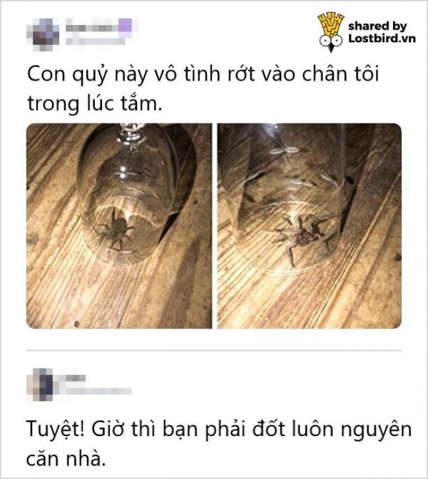 20 lời bình luận thiên tài khiến bạn một phen cười vỡ bụng 20 lời bình luận thiên tài khiến bạn một phen cười vỡ bụng