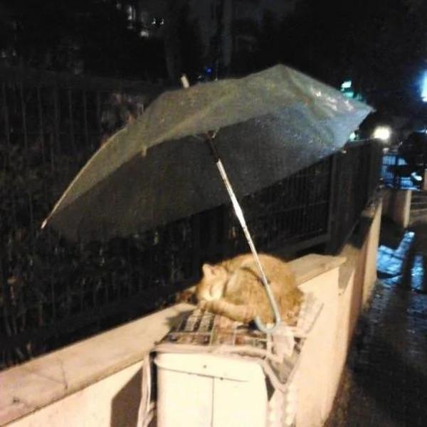Những bức ảnh chứng minh 'anh hùng có thể là mỗi người trong chúng ta' Những bức ảnh chứng minh 'anh hùng có thể là mỗi người trong chúng ta'