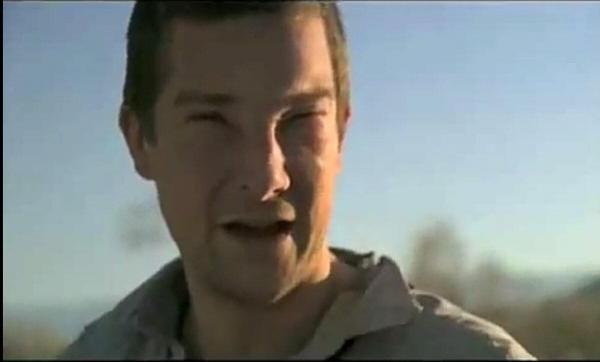 Bear Grylls bị ong đốt khiến tính mạng 'ngàn cân treo sợi tóc' trên đảo Thái Bình Dương Bear Grylls bị ong đốt khiến tính mạng 'ngàn cân treo sợi tóc' trên đảo Thái Bình Dương