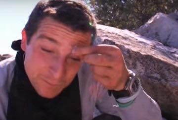 Bear Grylls bị ong đốt khiến tính mạng 'ngàn cân treo sợi tóc' trên đảo Thái Bình Dương Bear Grylls bị ong đốt khiến tính mạng 'ngàn cân treo sợi tóc' trên đảo Thái Bình Dương