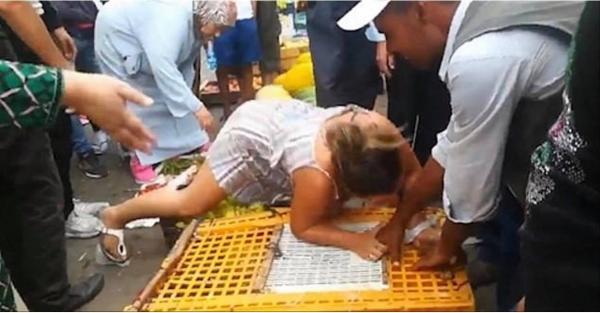 Du khách Anh cắn tay chủ cửa hàng để giải cứu lũ gà trong lồng Du khách Anh cắn tay chủ cửa hàng để giải cứu lũ gà trong lồng