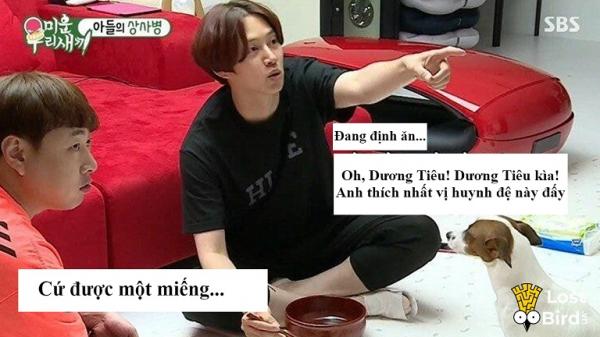 'Thánh cuồng phim Trung' Kim HeeChul mê mẩn mỹ nhân 'Tam Sinh Tam Thế' và lý do khó đỡ 'Thánh cuồng phim Trung' Kim HeeChul mê mẩn mỹ nhân 'Tam Sinh Tam Thế' và lý do khó đỡ