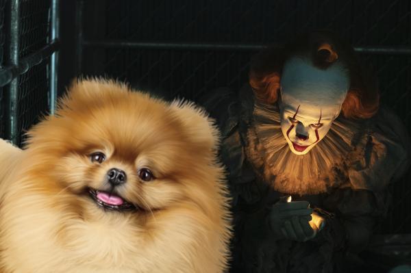 Những điều thú vị sau hậu trường 'It: Chapter Two' mà fan không ngờ tới Những điều thú vị sau hậu trường 'It: Chapter Two' mà fan không ngờ tới