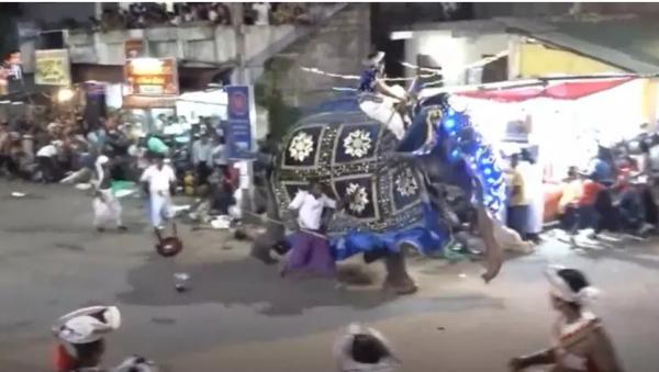 Có ít nhất 17 người bị thương sau khi một con voi 'hóa điên' tại buổi lễ diễu hành ở Sri Lanka Có ít nhất 17 người bị thương sau khi một con voi 'hóa điên' tại buổi lễ diễu hành ở Sri Lanka