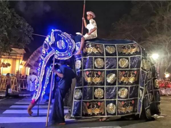 Có ít nhất 17 người bị thương sau khi một con voi 'hóa điên' tại buổi lễ diễu hành ở Sri Lanka Có ít nhất 17 người bị thương sau khi một con voi 'hóa điên' tại buổi lễ diễu hành ở Sri Lanka