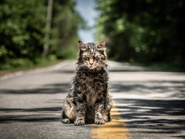 Bên cạnh 'It', đâu là các tác phẩm đáng xem nhất trong 'vũ trụ điện ảnh' Stephen King? Bên cạnh 'It', đâu là các tác phẩm đáng xem nhất trong 'vũ trụ điện ảnh' Stephen King?
