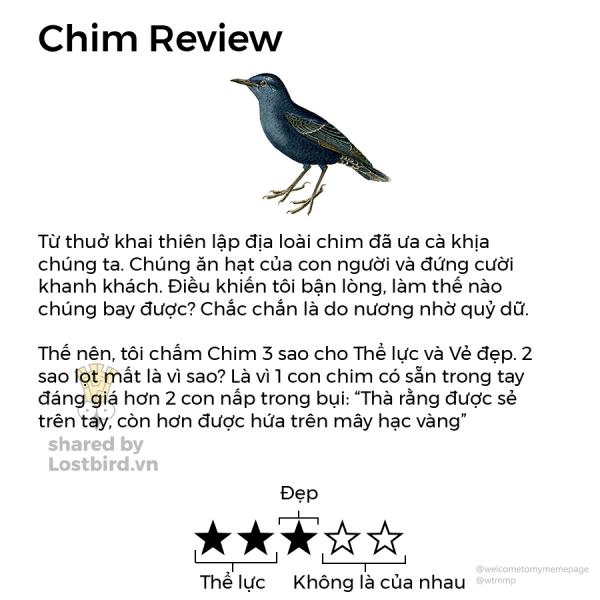 Loạt review các loài động vật nhảm nhí nhưng có lý không ngờ Loạt review các loài động vật nhảm nhí nhưng có lý không ngờ