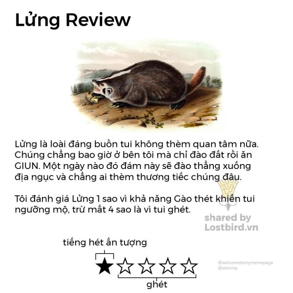 Loạt review các loài động vật nhảm nhí nhưng có lý không ngờ Loạt review các loài động vật nhảm nhí nhưng có lý không ngờ
