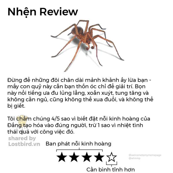 Loạt review các loài động vật nhảm nhí nhưng có lý không ngờ Loạt review các loài động vật nhảm nhí nhưng có lý không ngờ