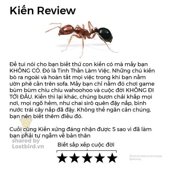 Loạt review các loài động vật nhảm nhí nhưng có lý không ngờ Loạt review các loài động vật nhảm nhí nhưng có lý không ngờ