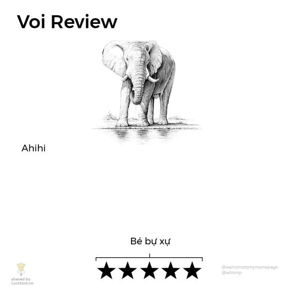 Loạt review các loài động vật nhảm nhí nhưng có lý không ngờ Loạt review các loài động vật nhảm nhí nhưng có lý không ngờ